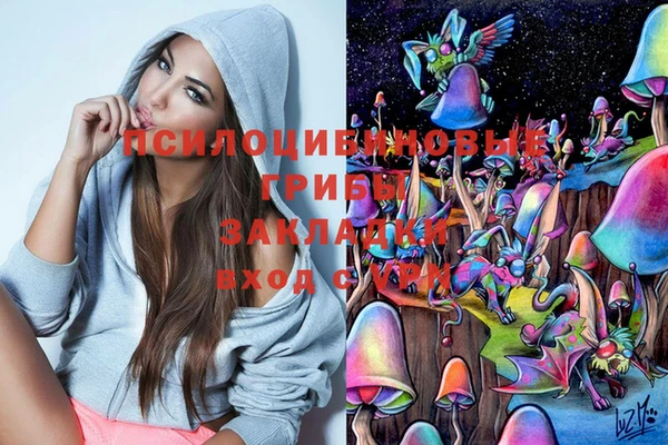 ПСИЛОЦИБИНОВЫЕ ГРИБЫ Армянск