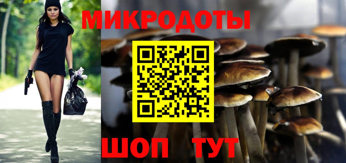 Псилоцибиновые грибы Psilocybine cubensis  Вход с VPN  Петропавловск-Камчатский  Галлюциногенные грибы прущие грибы 