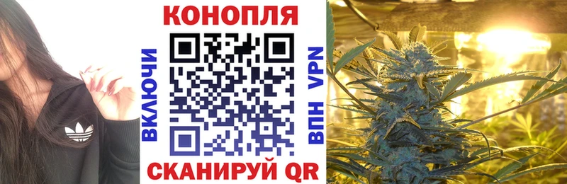 наркошоп  Петропавловск-Камчатский  МАРИХУАНА Ganja 